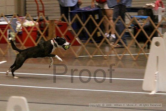 Birmingham Bandits Summer Shootout<br />May 31st, 2009<br />Bessemer Civic Center<br />Bessemer Al