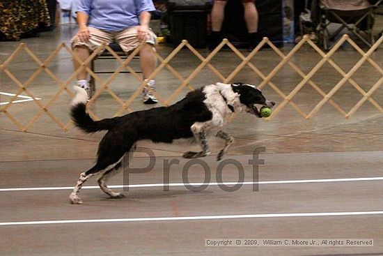 Birmingham Bandits Summer Shootout<br />May 31st, 2009<br />Bessemer Civic Center<br />Bessemer Al