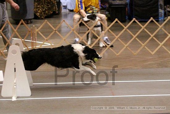 Birmingham Bandits Summer Shootout<br />May 31st, 2009<br />Bessemer Civic Center<br />Bessemer Al