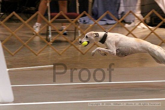 Birmingham Bandits Summer Shootout<br />May 31st, 2009<br />Bessemer Civic Center<br />Bessemer Al