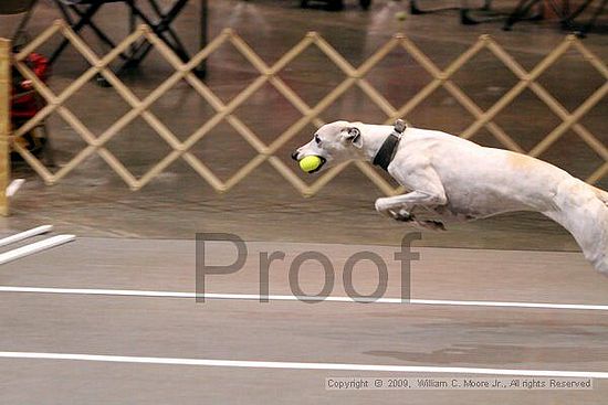 Birmingham Bandits Summer Shootout<br />May 31st, 2009<br />Bessemer Civic Center<br />Bessemer Al