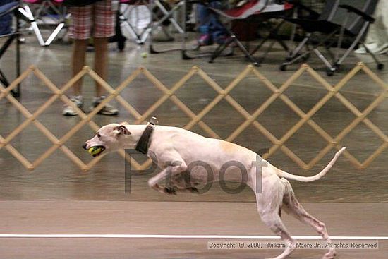 Birmingham Bandits Summer Shootout<br />May 31st, 2009<br />Bessemer Civic Center<br />Bessemer Al