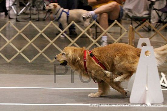 Birmingham Bandits Summer Shootout<br />May 31st, 2009<br />Bessemer Civic Center<br />Bessemer Al