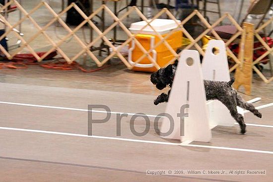 Birmingham Bandits Summer Shootout<br />May 31st, 2009<br />Bessemer Civic Center<br />Bessemer Al