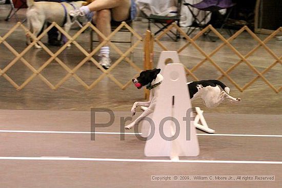 Birmingham Bandits Summer Shootout<br />May 31st, 2009<br />Bessemer Civic Center<br />Bessemer Al