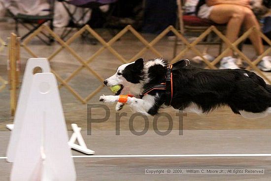 Birmingham Bandits Summer Shootout<br />May 31st, 2009<br />Bessemer Civic Center<br />Bessemer Al