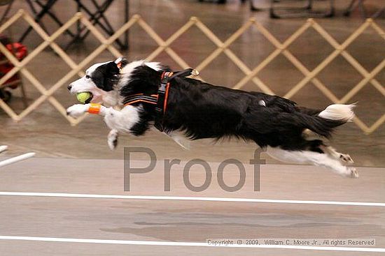 Birmingham Bandits Summer Shootout<br />May 31st, 2009<br />Bessemer Civic Center<br />Bessemer Al