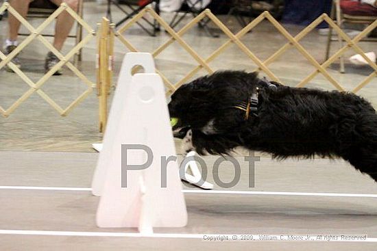 Birmingham Bandits Summer Shootout<br />May 31st, 2009<br />Bessemer Civic Center<br />Bessemer Al