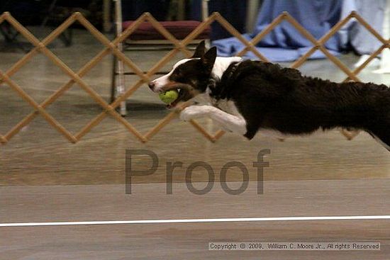 Birmingham Bandits Summer Shootout<br />May 31st, 2009<br />Bessemer Civic Center<br />Bessemer Al