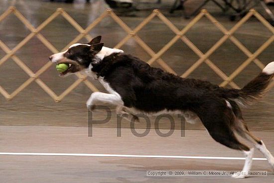 Birmingham Bandits Summer Shootout<br />May 31st, 2009<br />Bessemer Civic Center<br />Bessemer Al