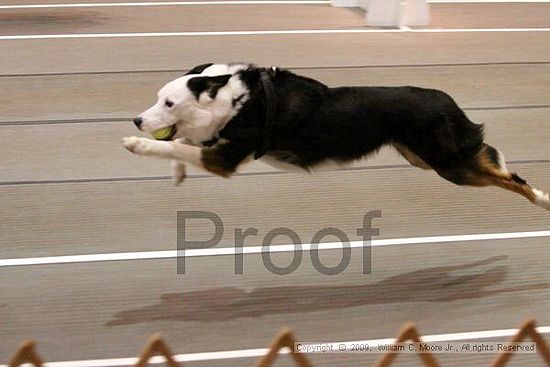 Birmingham Bandits Summer Shootout<br />May 31st, 2009<br />Bessemer Civic Center<br />Bessemer Al