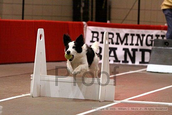 Birmingham Bandits Summer Shootout<br />May 31st, 2009<br />Bessemer Civic Center<br />Bessemer Al