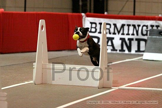 Birmingham Bandits Summer Shootout<br />May 31st, 2009<br />Bessemer Civic Center<br />Bessemer Al