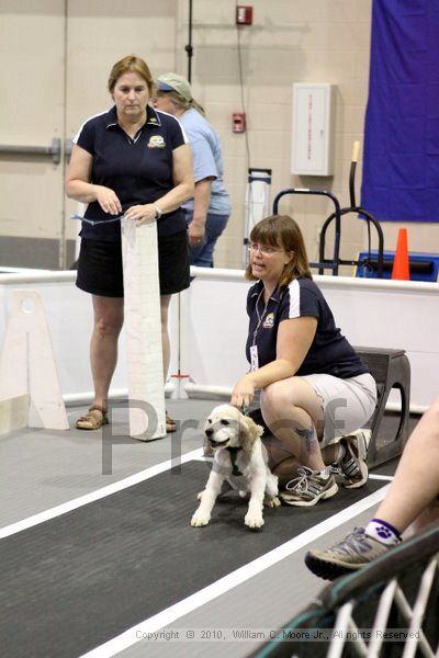 IMG_7075.jpg - Dawg Derby Flyball TournementJuly 10, 2010Classic CenterAthens, Ga