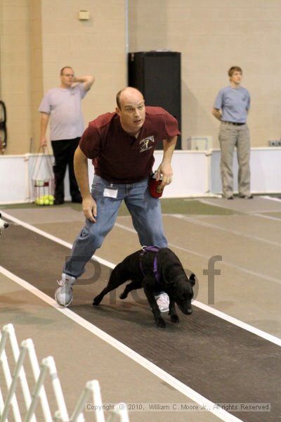 IMG_7251.jpg - Dawg Derby Flyball TournementJuly 10, 2010Classic CenterAthens, Ga