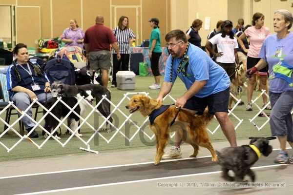 IMG_7492.jpg - Dawg Derby Flyball TournementJuly 10, 2010Classic CenterAthens, Ga