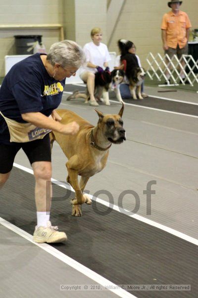 IMG_7531.jpg - Dawg Derby Flyball TournementJuly 10, 2010Classic CenterAthens, Ga