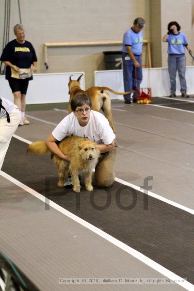 IMG_7534.jpg - Dawg Derby Flyball TournementJuly 10, 2010Classic CenterAthens, Ga