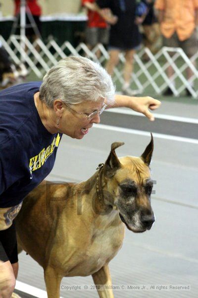 IMG_7544.jpg - Dawg Derby Flyball TournementJuly 10, 2010Classic CenterAthens, Ga