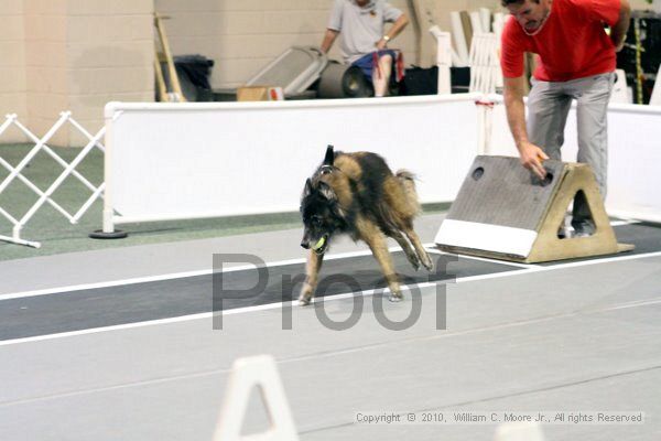 IMG_7625.jpg - Dawg Derby Flyball TournementJuly 10, 2010Classic CenterAthens, Ga