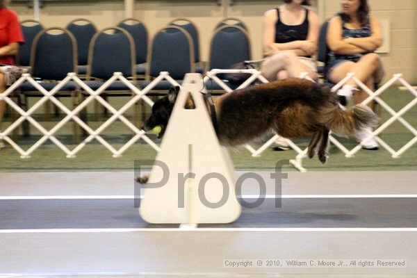 IMG_7627.jpg - Dawg Derby Flyball TournementJuly 10, 2010Classic CenterAthens, Ga