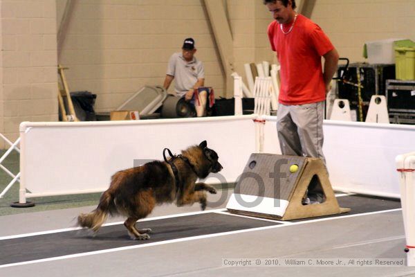 IMG_7643.jpg - Dawg Derby Flyball TournementJuly 10, 2010Classic CenterAthens, Ga
