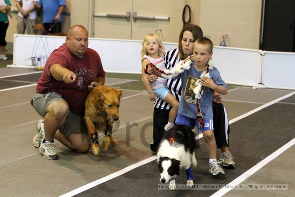 IMG_7827.jpg - Dawg Derby Flyball TournementJuly 10, 2010Classic CenterAthens, Ga