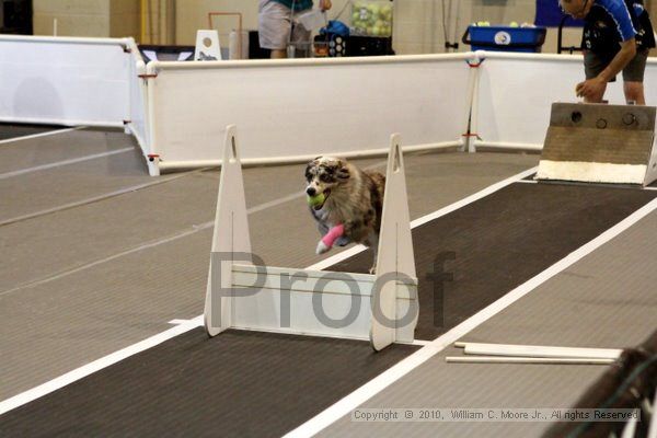 IMG_7834.jpg - Dawg Derby Flyball TournementJuly 10, 2010Classic CenterAthens, Ga