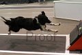 IMG_8101