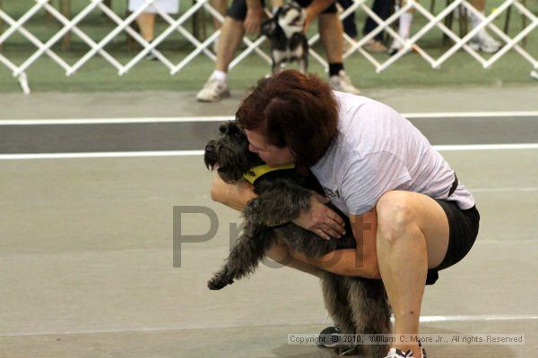 IMG_8310.jpg - Dawg Derby Flyball TournementJuly 10, 2010Classic CenterAthens, Ga