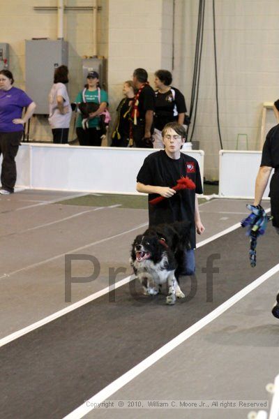 IMG_8574.jpg - Dawg Derby Flyball TournementJuly 10, 2010Classic CenterAthens, Ga