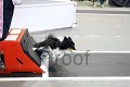 IMG_8441