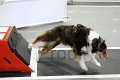 IMG_8457