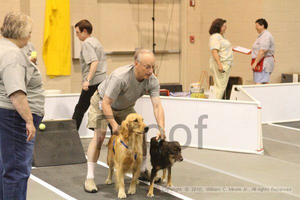 IMG_8597.jpg - Dawg Derby Flyball TournementJuly 11, 2010Classic CenterAthens, Ga
