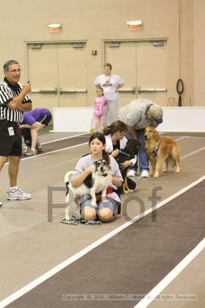 IMG_8630.jpg - Dawg Derby Flyball TournementJuly 11, 2010Classic CenterAthens, Ga