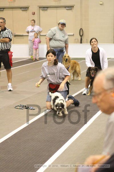 IMG_8632.jpg - Dawg Derby Flyball TournementJuly 11, 2010Classic CenterAthens, Ga