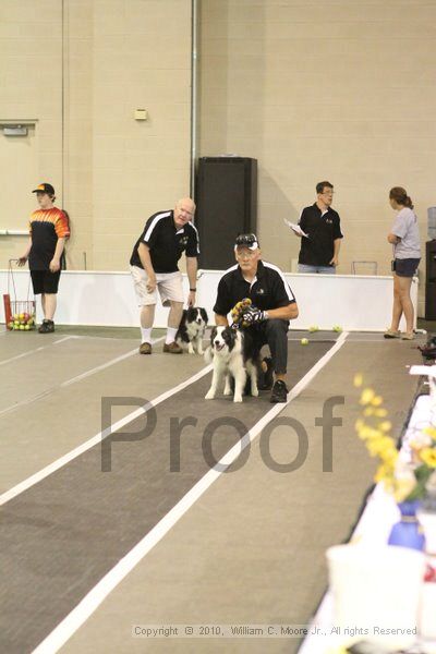 IMG_8663.jpg - Dawg Derby Flyball TournementJuly 11, 2010Classic CenterAthens, Ga