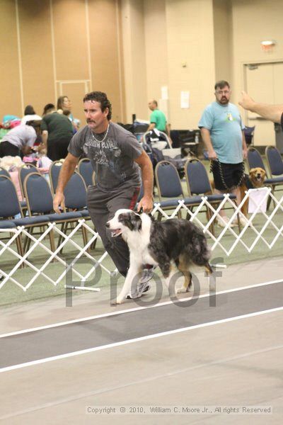 IMG_8669.jpg - Dawg Derby Flyball TournementJuly 11, 2010Classic CenterAthens, Ga