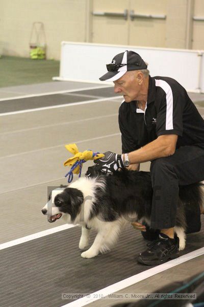 IMG_8674.jpg - Dawg Derby Flyball TournementJuly 11, 2010Classic CenterAthens, Ga