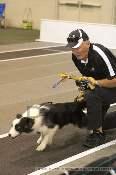 IMG_8675.jpg - Dawg Derby Flyball TournementJuly 11, 2010Classic CenterAthens, Ga