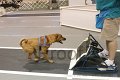 IMG_8641