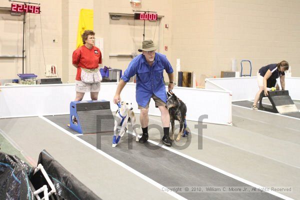IMG_8751.jpg - Dawg Derby Flyball TournementJuly 11, 2010Classic CenterAthens, Ga