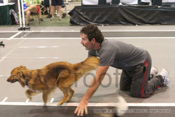 IMG_8809.jpg - Dawg Derby Flyball TournementJuly 11, 2010Classic CenterAthens, Ga