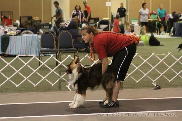 IMG_8818.jpg - Dawg Derby Flyball TournementJuly 11, 2010Classic CenterAthens, Ga
