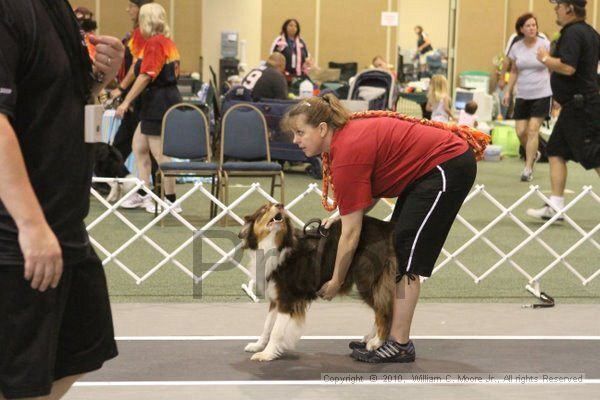 IMG_8819.jpg - Dawg Derby Flyball TournementJuly 11, 2010Classic CenterAthens, Ga