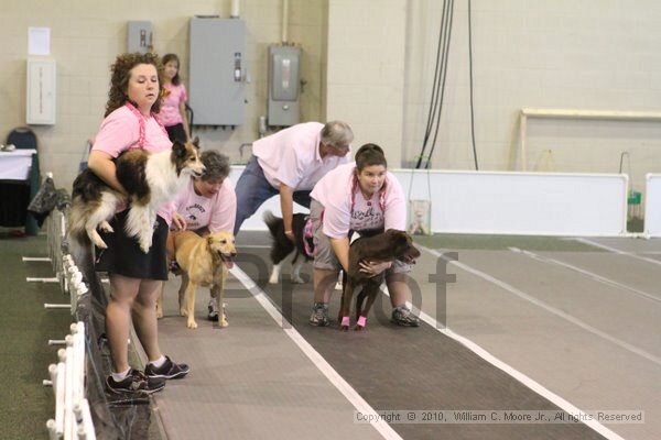 IMG_8907.jpg - Dawg Derby Flyball TournementJuly 11, 2010Classic CenterAthens, Ga