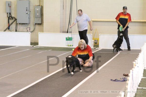 IMG_8965.jpg - Dawg Derby Flyball TournementJuly 11, 2010Classic CenterAthens, Ga