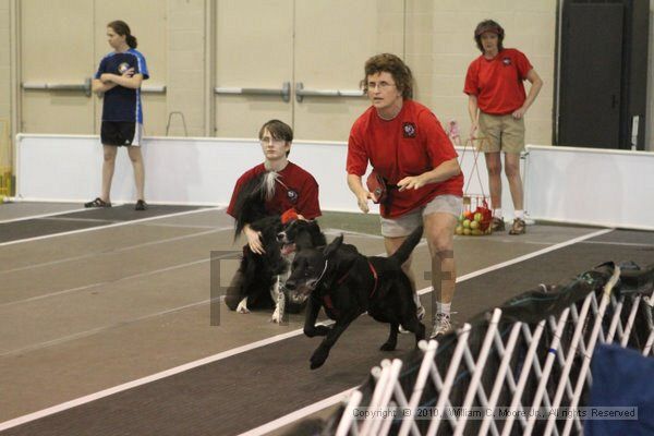 IMG_9001.jpg - Dawg Derby Flyball TournementJuly 11, 2010Classic CenterAthens, Ga