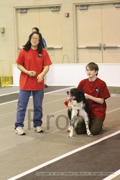 IMG_9010.jpg - Dawg Derby Flyball TournementJuly 11, 2010Classic CenterAthens, Ga