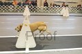 IMG_8923